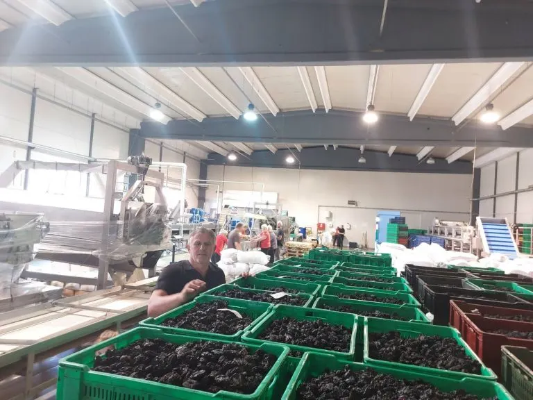 jovanovic voce about us dried plums en