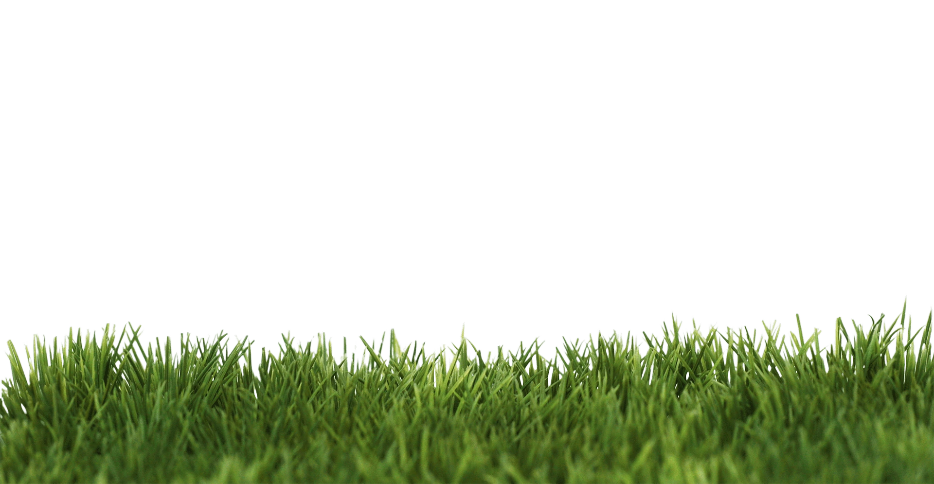 jovanovic voce footer gras de