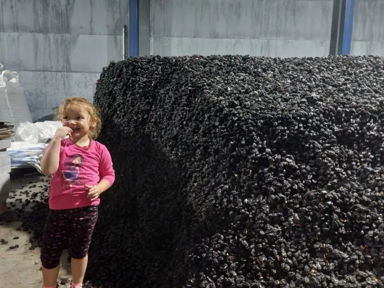 jovanović voće o nama devojčica