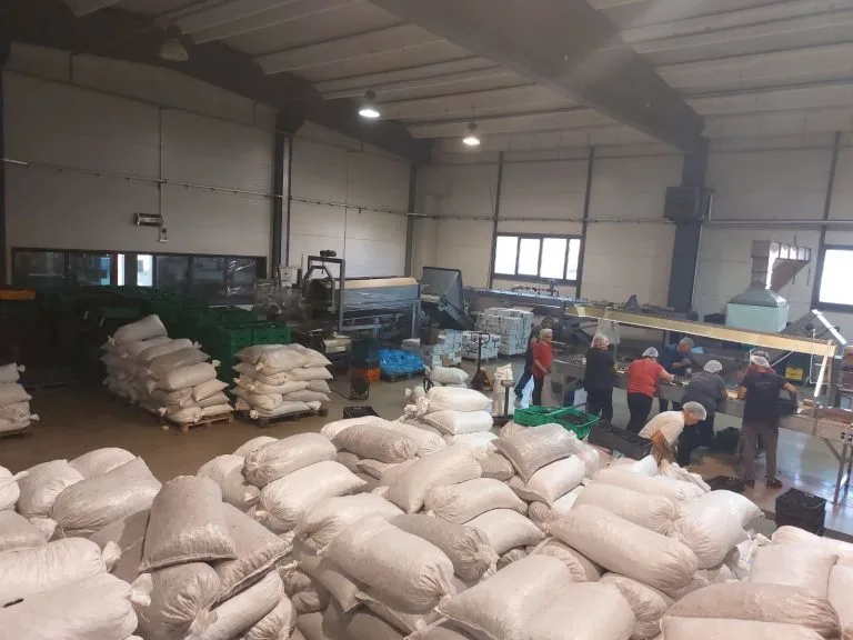 jovanović voće o nama proizvodnja