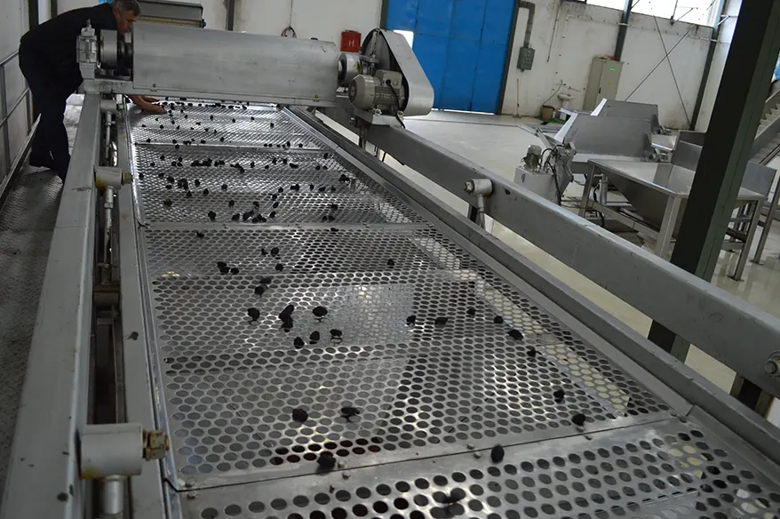 jovanovic voce services dried plums preparation and packaging