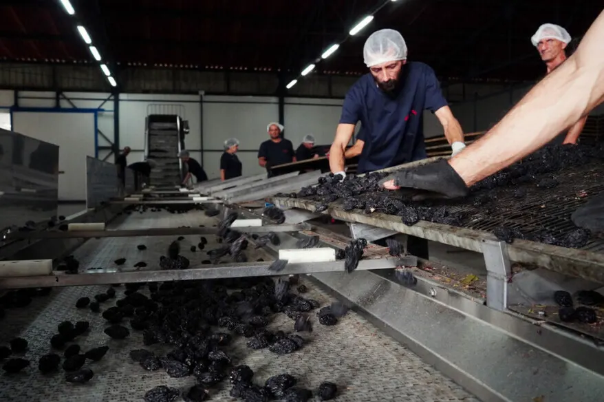 jovanovic voce services preparation en