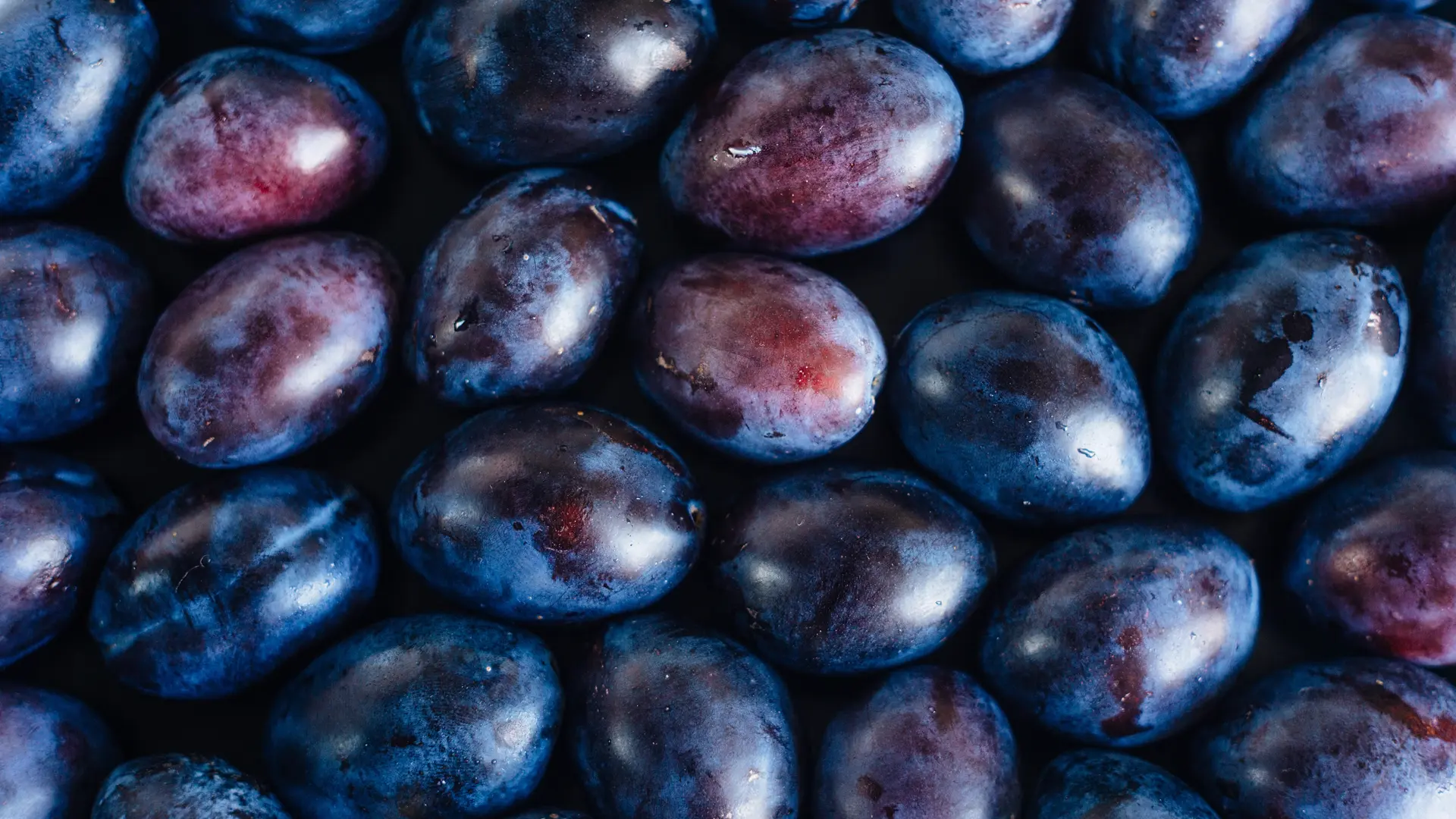 jovanović voće usluge sušenje šljive pre