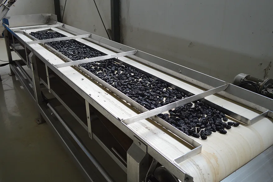 jovanović voće usluge sušenje šljive